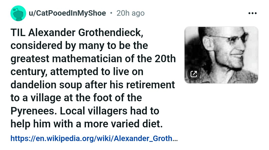 MandelaFace's tweet image. It's funny that dudes have managed to convince themselves that nobody had autism before 1980 when every great mathematician is like this or "he almost never spoke. He could speak, but he didn't" or "the Acte of being touched sent him a-screaming"
