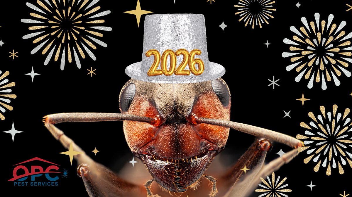 As we countdown to midnight, we’re sharing some resolutions from the bugs’ side of things. Spoiler: their goals aren’t exactly homeowner-friendly. Read on: bit.ly/4eNExUA