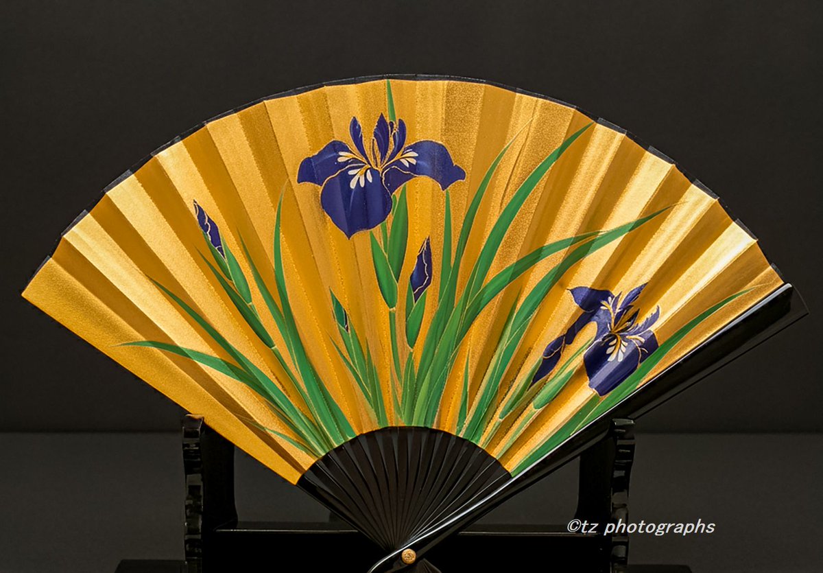 Happy New Year 2026 ! 今年もよろしくお願いいたします🎍🎉 #心象