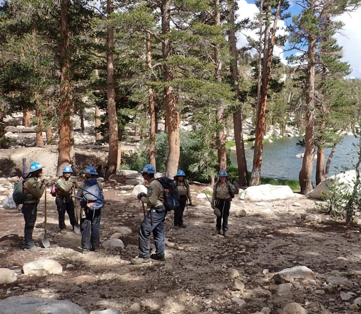 California Association of Local Conservation Corps tweet media