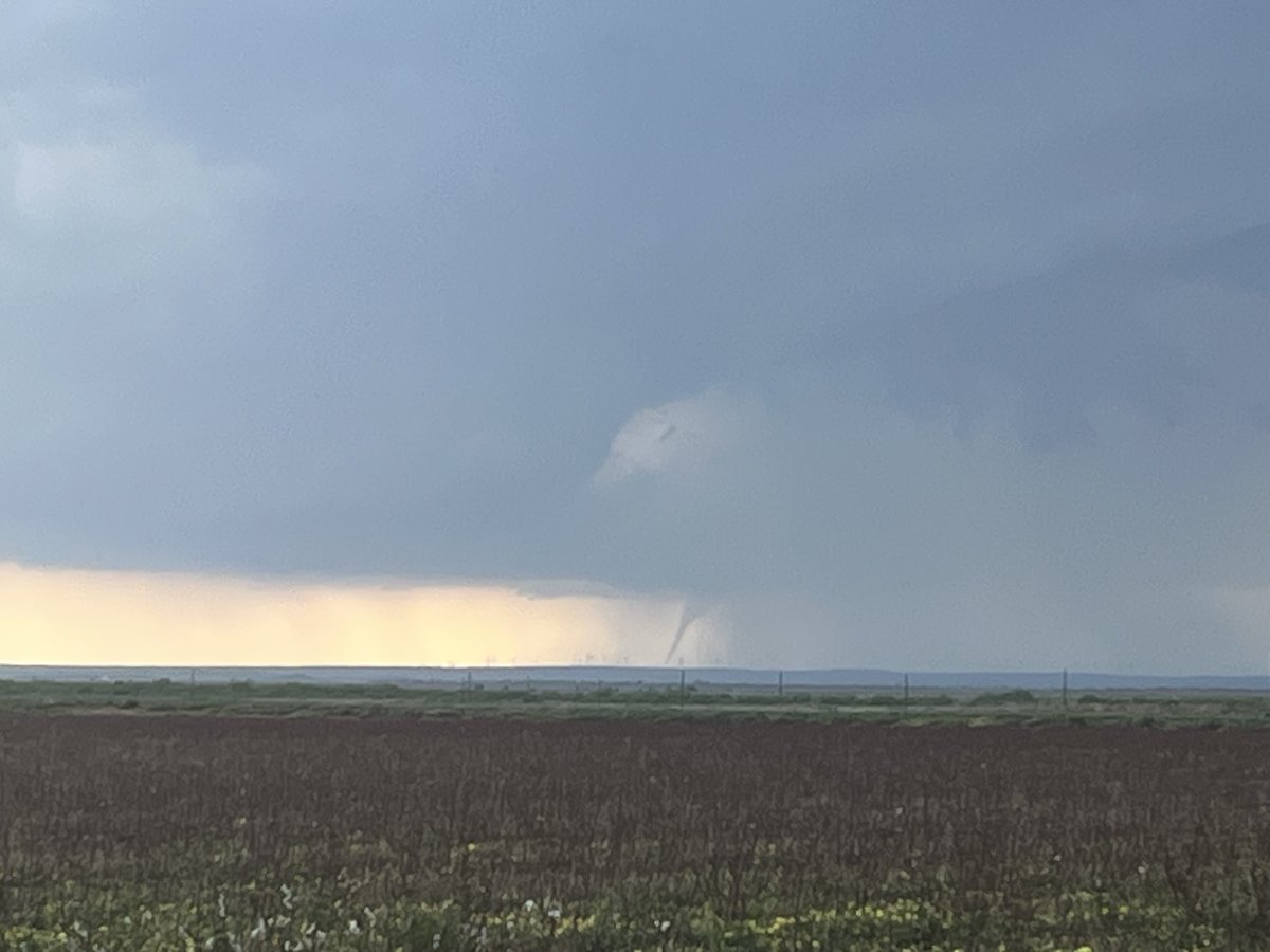 Parker Alvstad tweet media