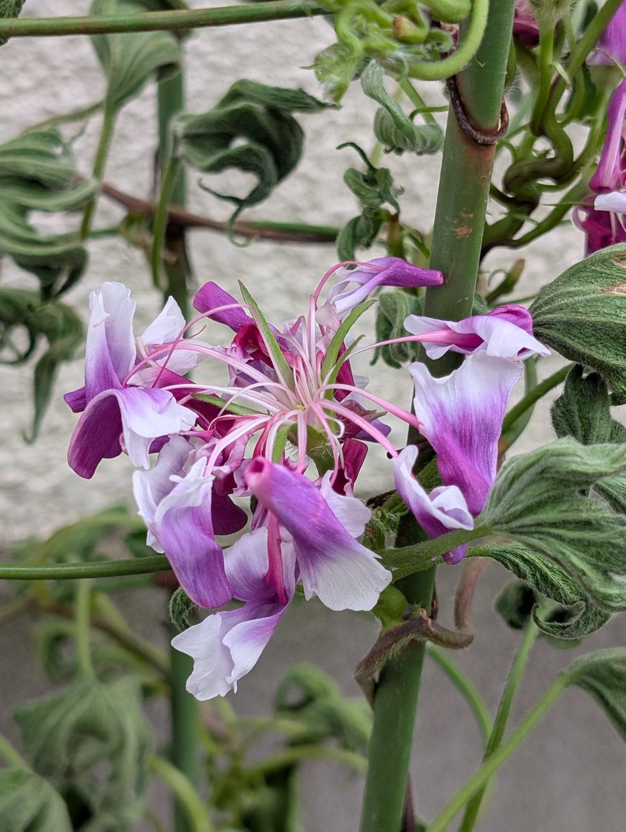 明けましておめでとうございます。
今年もよろしくお願いします
m(_ _)m