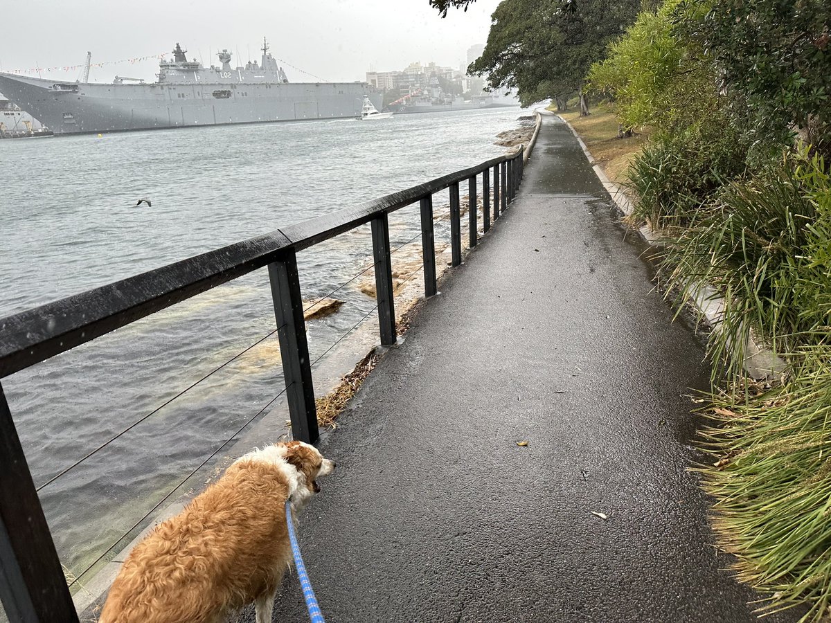 Benjamin Eggleton tweet media