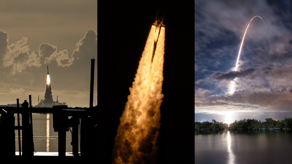 Asher B. tweet media