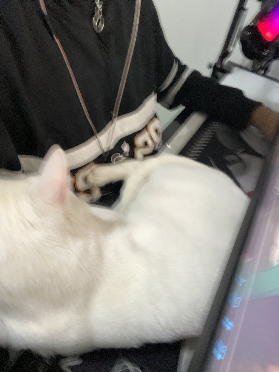 Ac3y 🇲🇽 tweet media