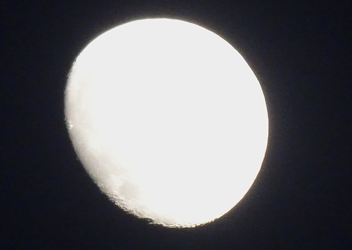 Sue Pleb Leam tweet media