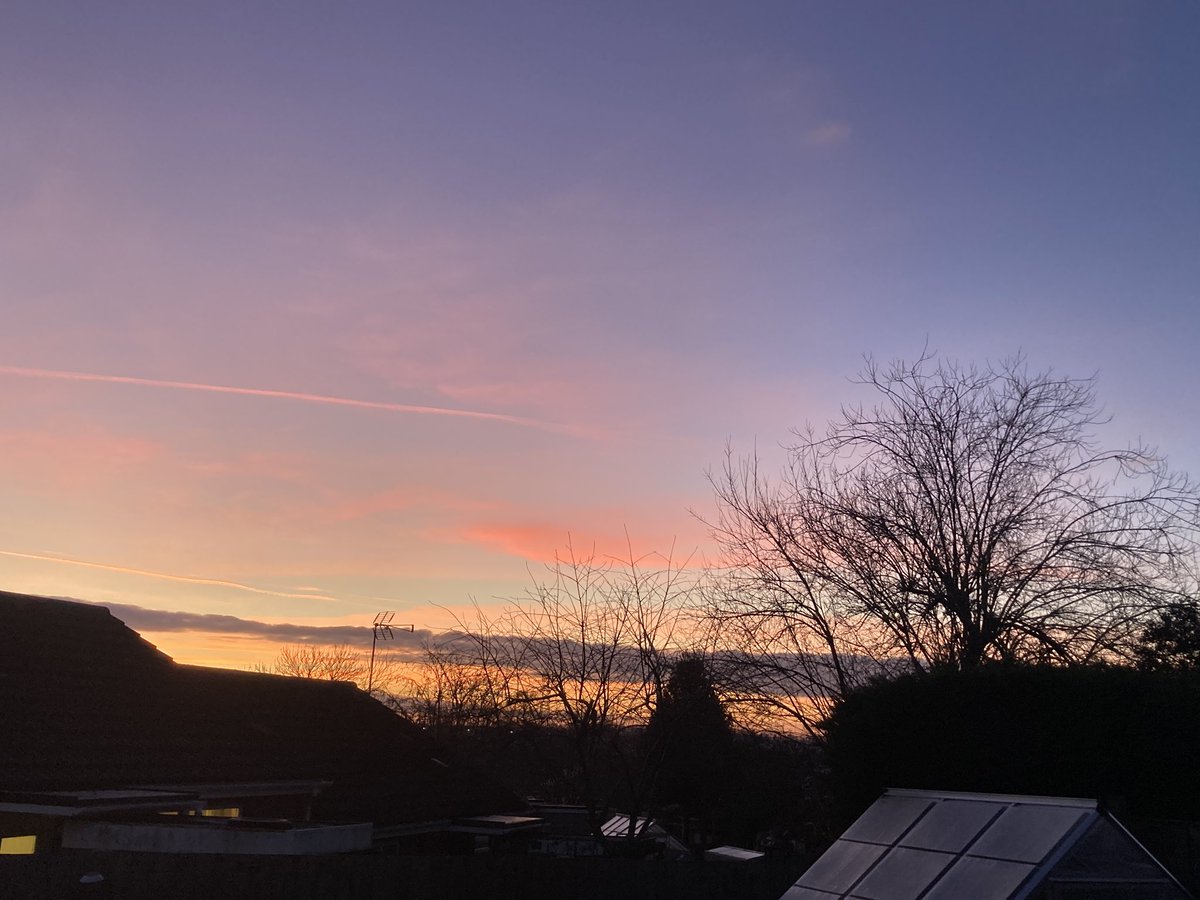 Sue Pleb Leam tweet media