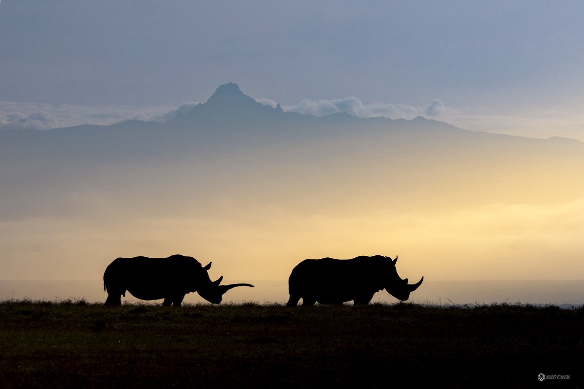 من #اجمل_ماصورت_2025