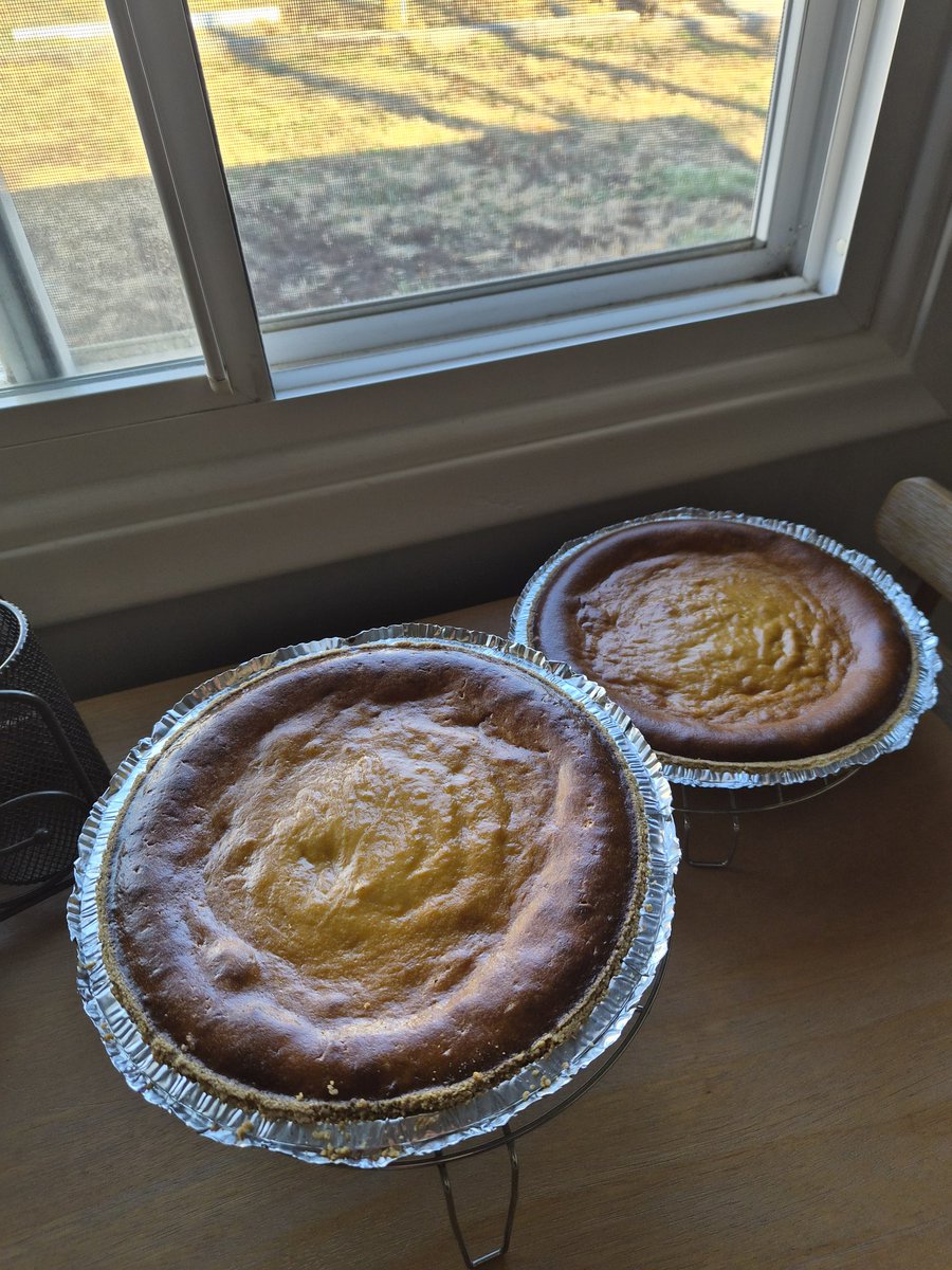 Radi05tar's tweet photo. They told me I'd never be able to let my queso fresco pumpkin cheese cake rest by the window sill https://t.co/TxRppzxaYo