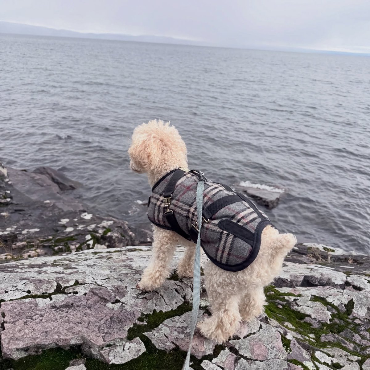 Slow Magic tweet media