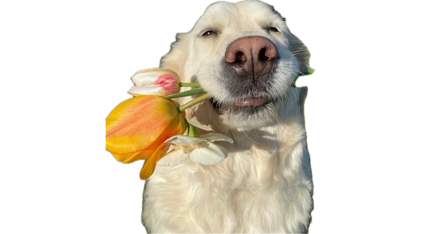 Jazzz_Rs tweet media