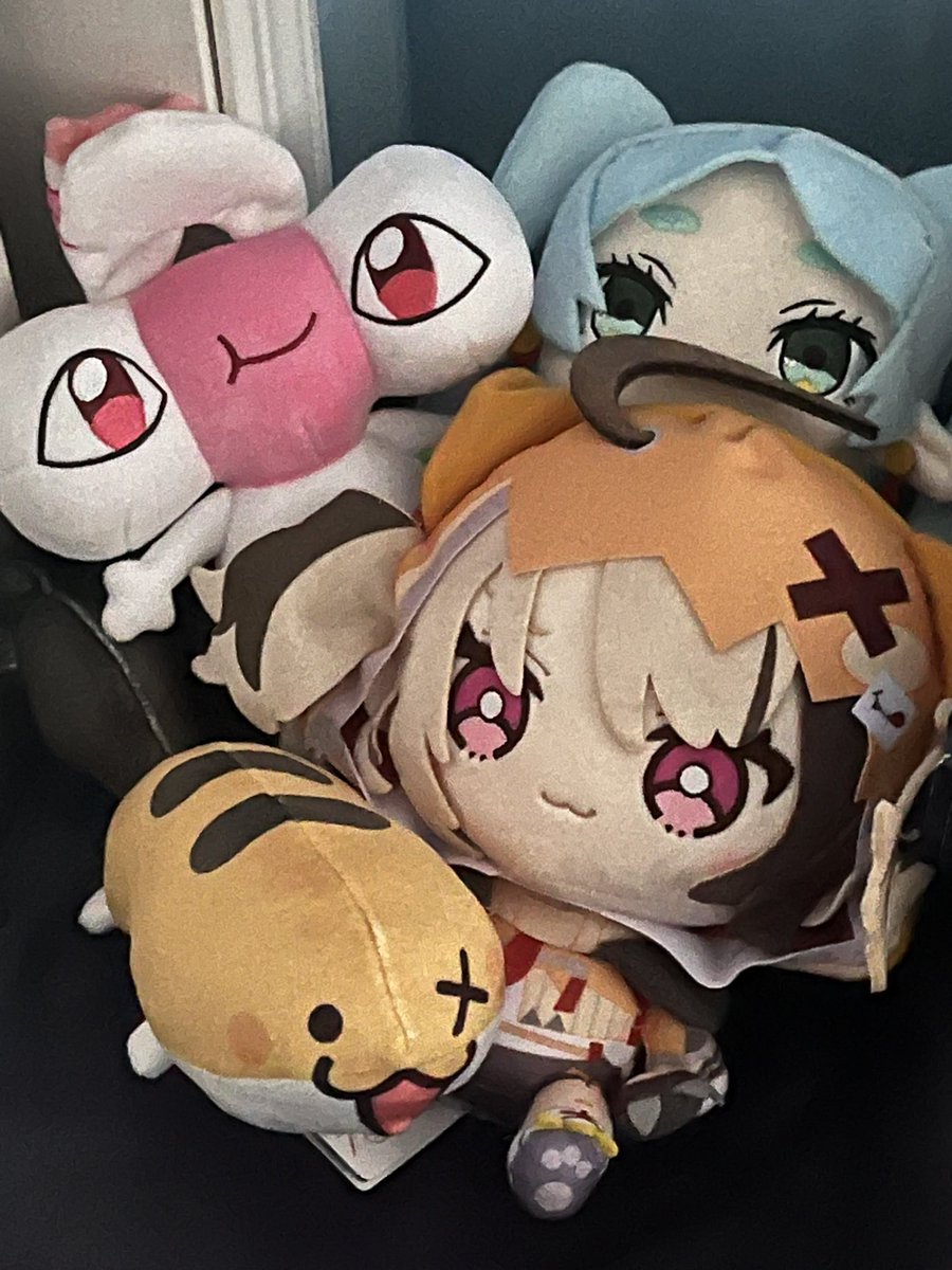 MissingLink6996's tweet photo. finally got to my anniversary merch and now they are chilling with some friends

i love my stupid son who has no braincells (i should have taken more pics of him vacuum sealed it is very funny) https://t.co/FkeDHEkSlg
