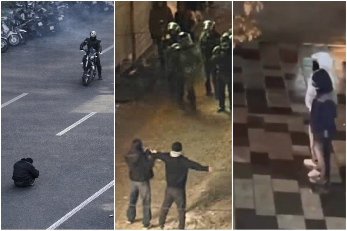 بئاتریس 𓃬☼ tweet media