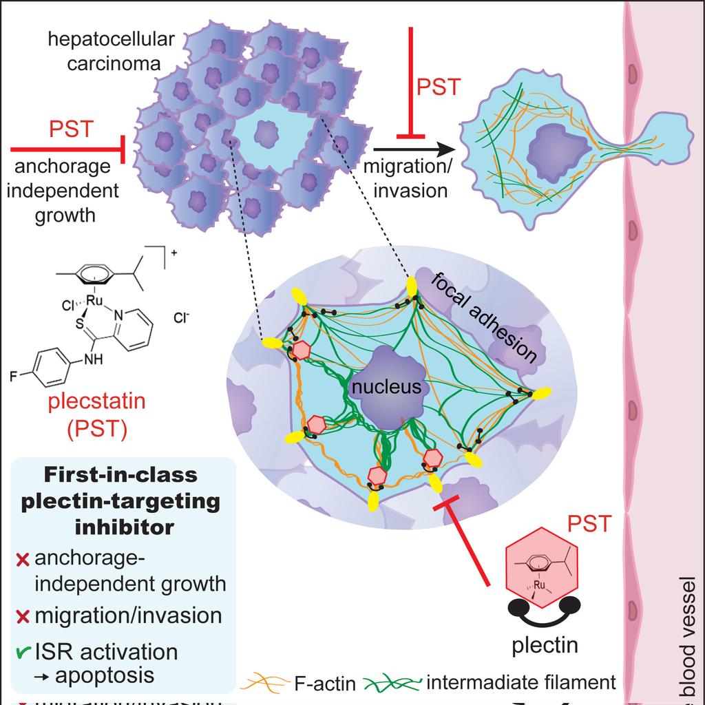 Gregor lab tweet media