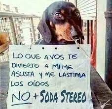 BabyJoi7's tweet photo. Este 31 de Diciembre se más consciente. https://t.co/KJ2KKsHE53