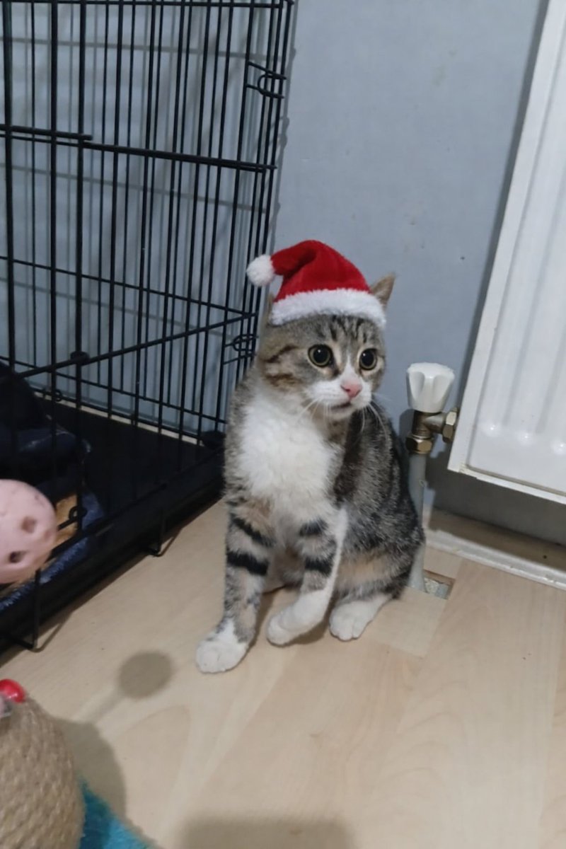 Ethem dede Ethem dede
Bana yeni yılda bir yufa bul
3 göbek atam dede