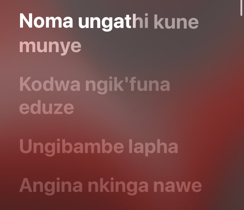 bongo.ntuli tweet media