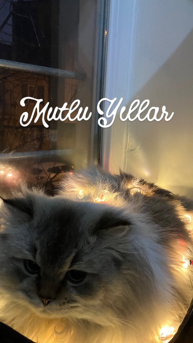 Onur (@heliosesyon) on Twitter photo 