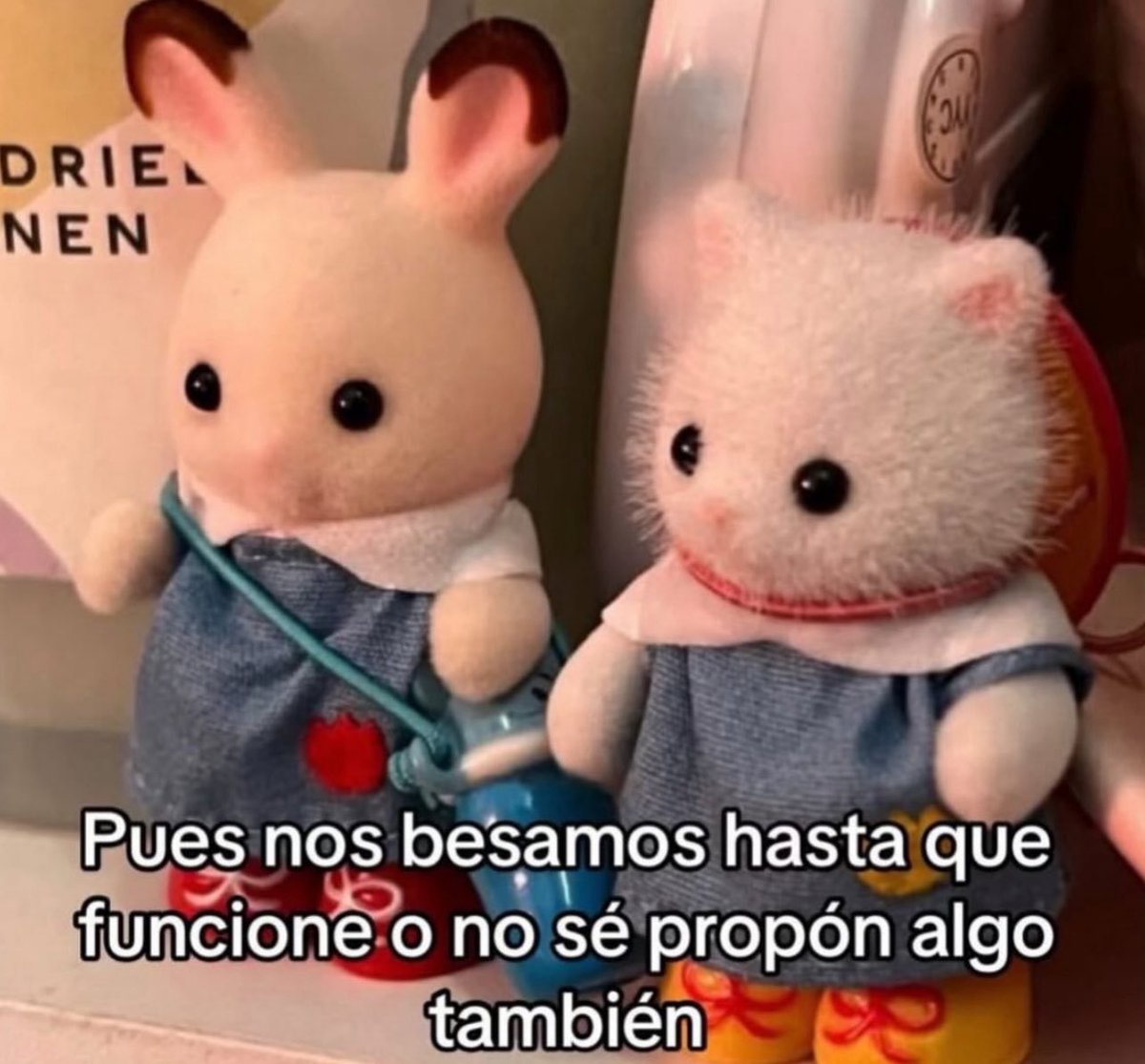 conoloracigarro's tweet photo. https://t.co/u4VZq6vTGO