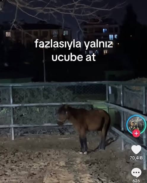 Bütün eski arkadaşlarım yılbaşına beraber giriyor ve ben tek kaldım