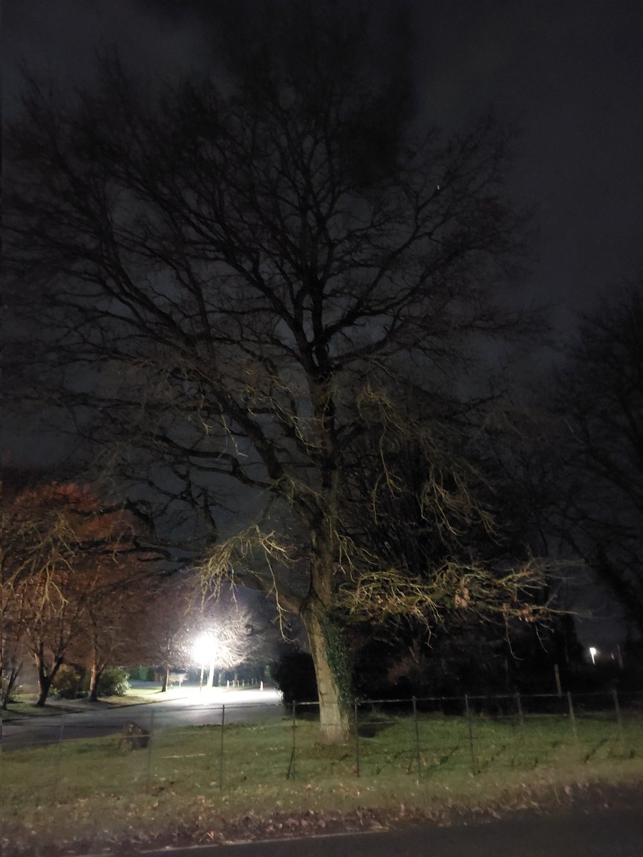 Liz Kavanagh Wilders tweet media