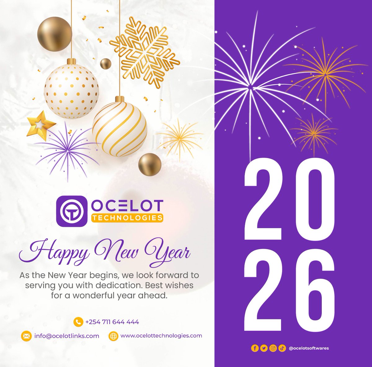 Ocelot Technologies tweet media