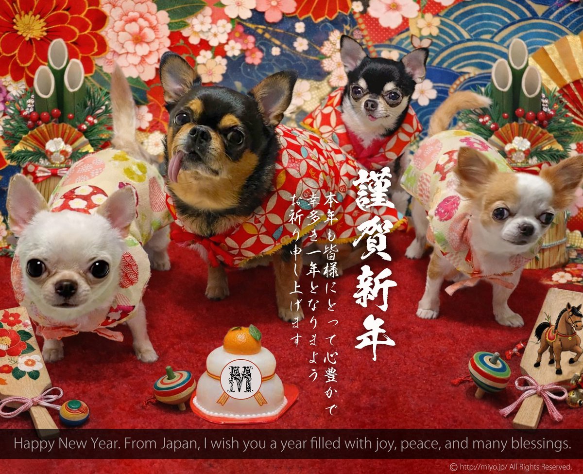 あけましておめでとうございます！
皆様にとって幸多き一年となりますように。
わたしはまだ仕事納めが終わっていません！😂

Happy New Year.
I’m sending my warmest wishes from Japan for a year filled with happiness, peace, and abundance for you all.