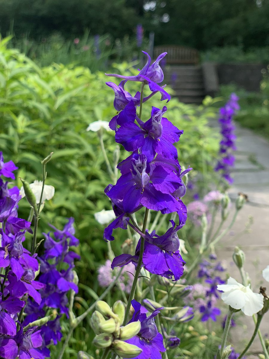 Happy New Year ✨

The year turns like a page written in invisible ink.
Nothing announced… nothing forced…
only the quiet assurance that what’s meant for you will find you.

I enter this season with steadier hands,
clearing space for truth, and 
guarding what belongs to the