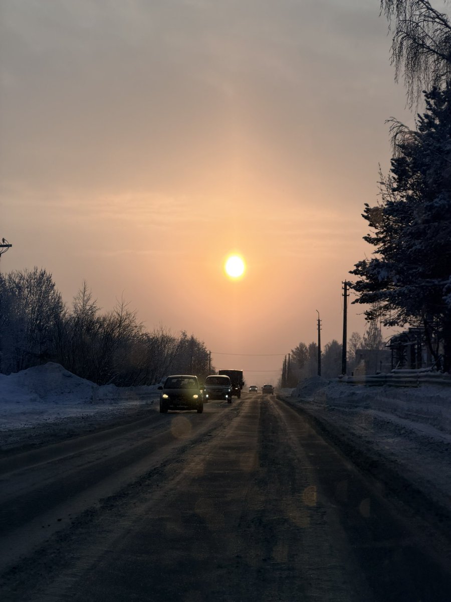 зырянская жизнь tweet media