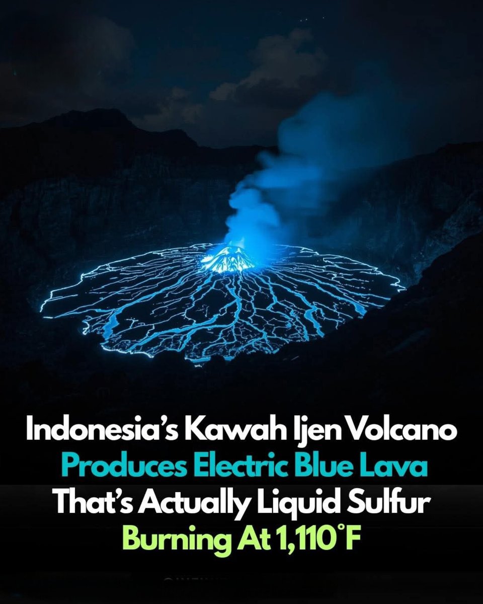 The World R🅰️nking (@worldranking_) on Twitter photo 