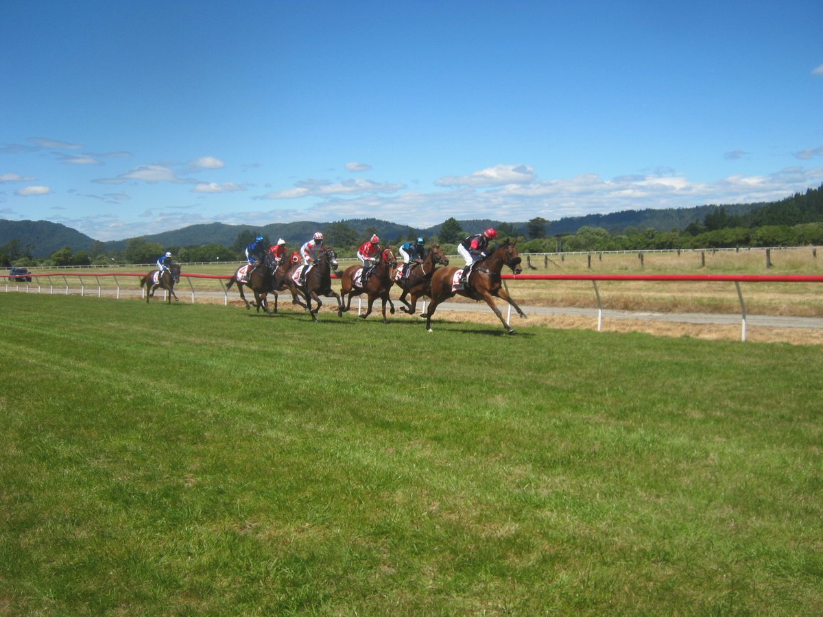 Robert Stewart tweet media