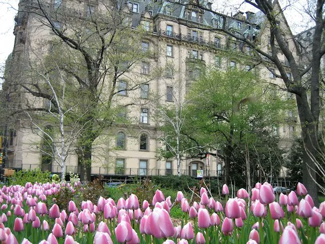 critical urbanism tweet media