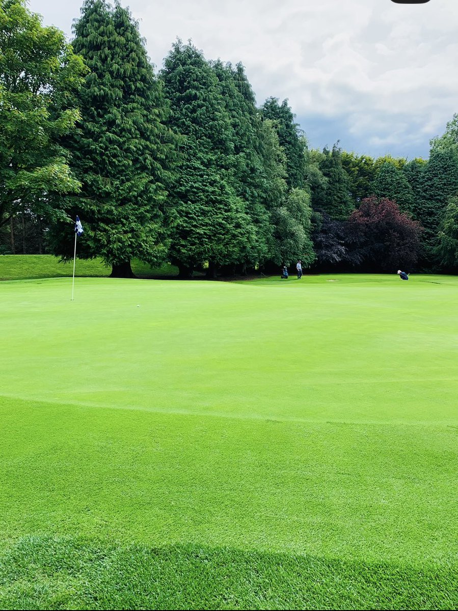 Beech Park Golf Club tweet media