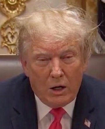 BurntToastAge's tweet photo. @TMZ In case he stumbles across your account later tonight, I wanna make sure Trump sees himself like the rest of us 😎 https://t.co/uPEO9DEmoj