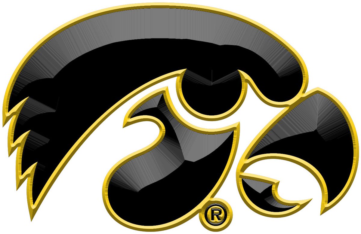 SickosCommittee's tweet photo. THE IOWA HAWKEYES GO OUTBACK TO TAMPA AND WIN THE RELIAQUEST BOWL

BEVEL THOSE HAWKEYES AND
HERKY https://t.co/YdoHWtEHnJ