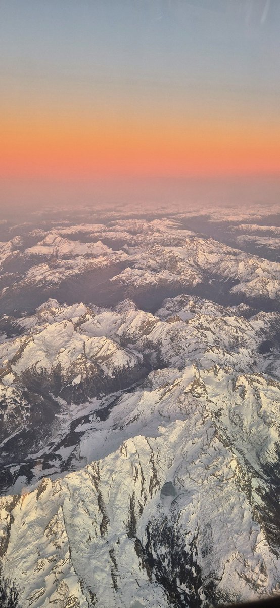 faustina gilbey tweet media