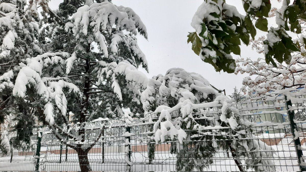 Sıcak bir yaz günü öğle ortasında güneşe maruz kalan bir buz parçası misali ömür sermayesi günden güne eriyor...
facebook.com/share/p/17yHWU…