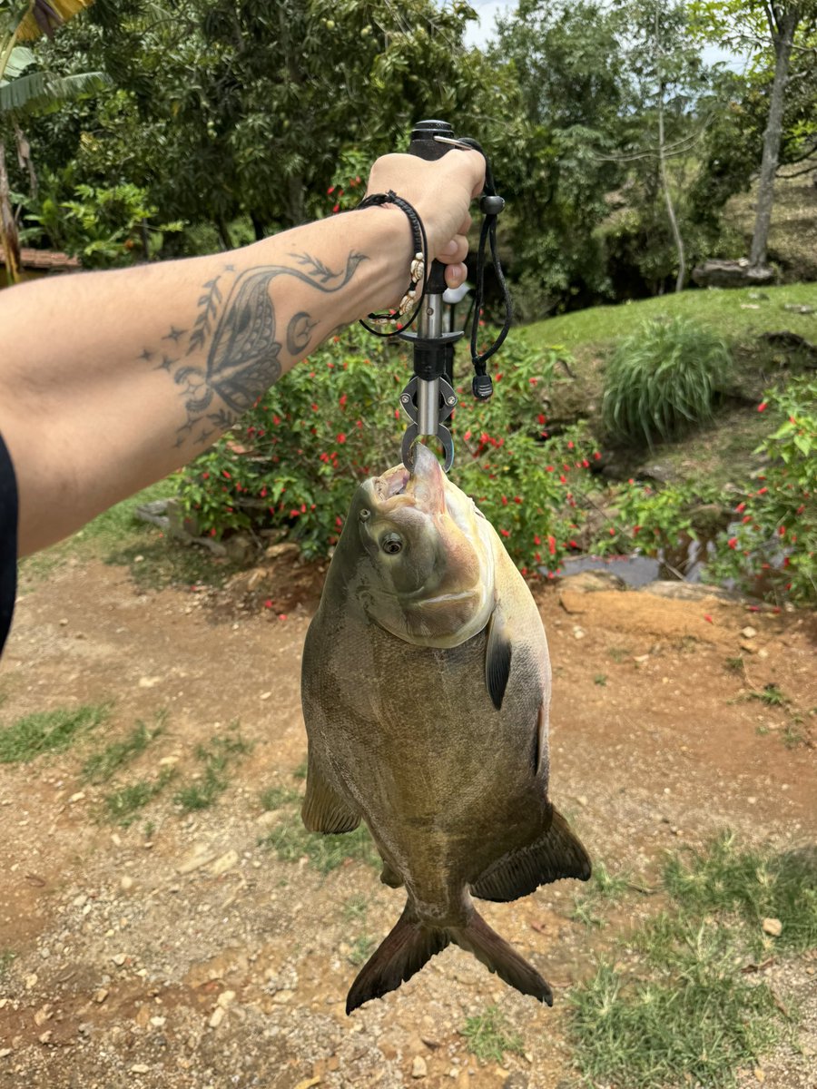 Why do i lowkey got bigger fish to fry 😭😭