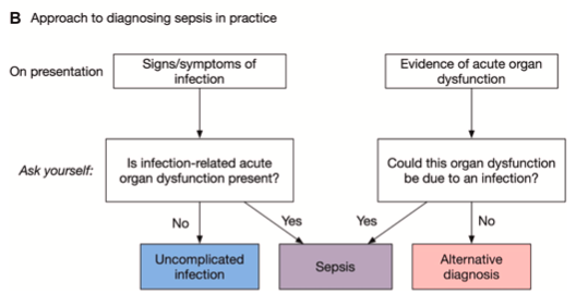 AliSMV7's tweet photo. Defining Sepsis: Past, Present, and Future

🔺If you think is simple, look closer

https://t.co/c0Tgu18wk5 https://t.co/p8hLBrbTeD