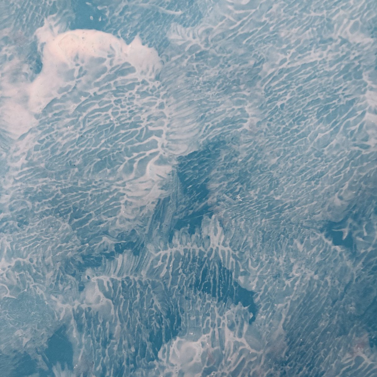 MIСHѦЄL ՏѦMBRѺѺK tweet media