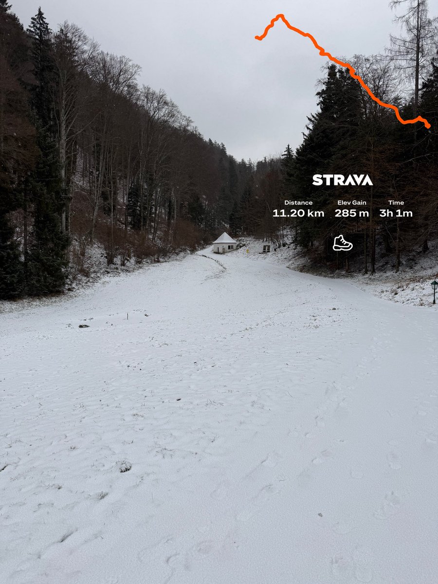 Renato Fajdiga tweet media