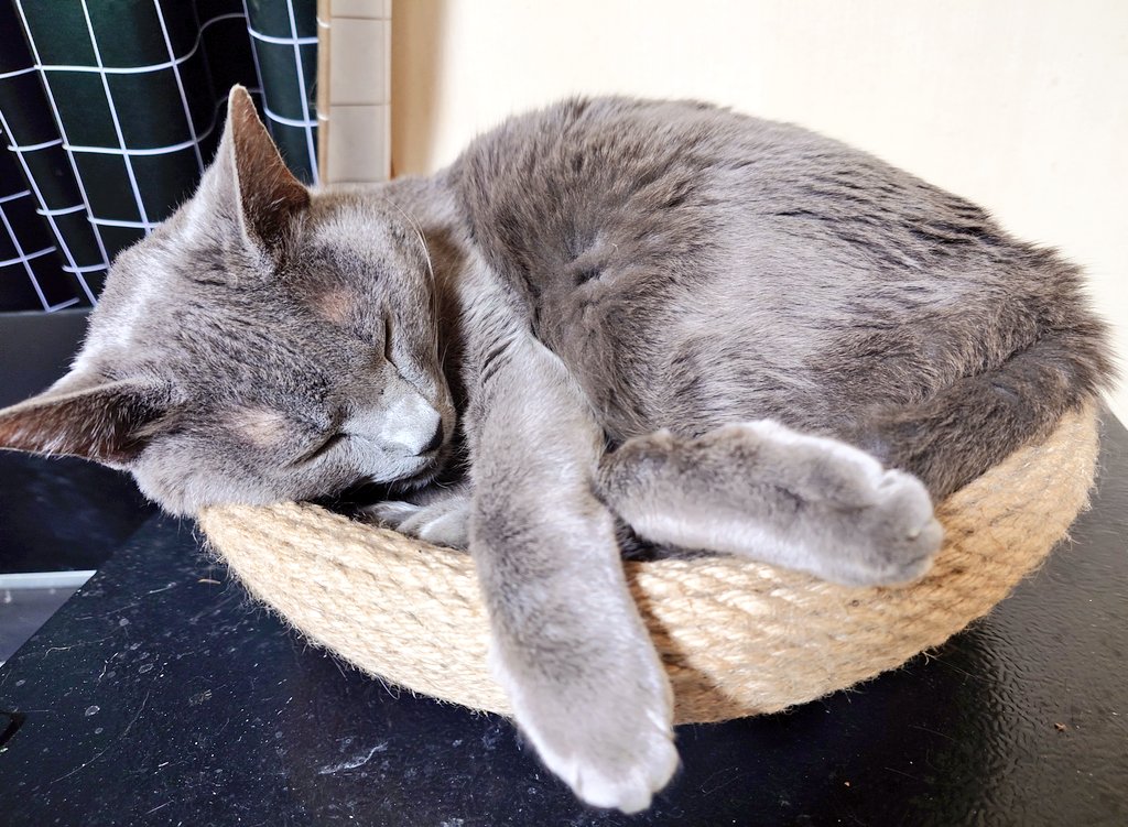 ファング@ブランにどハマり♪ tweet media