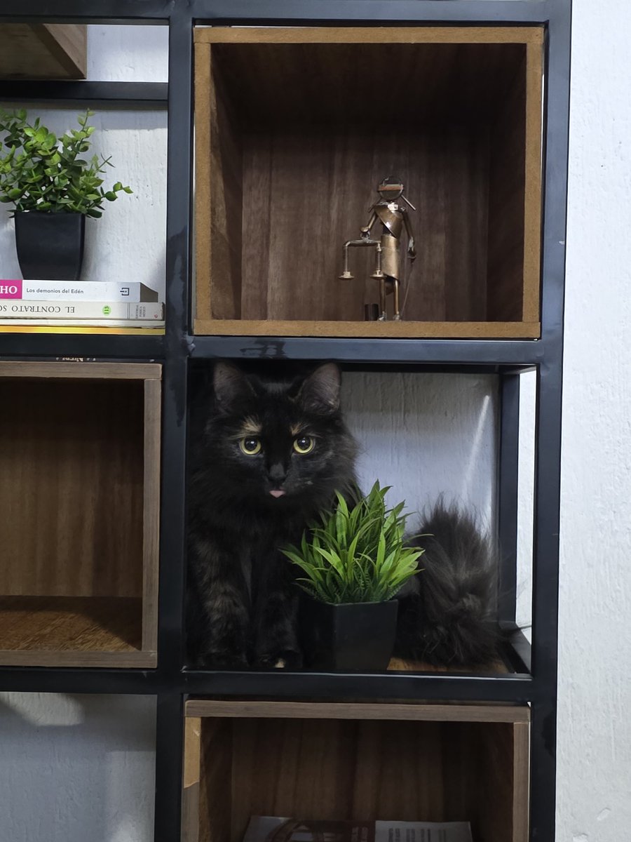 Ella quiere ser el mejor adorno