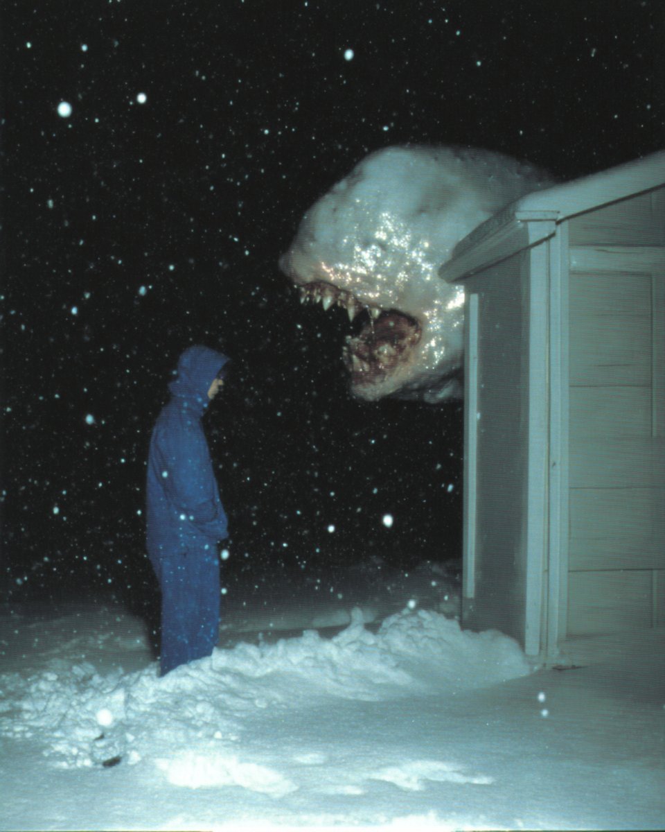 Stephan Vasement (@stephanvasement) on Twitter photo 