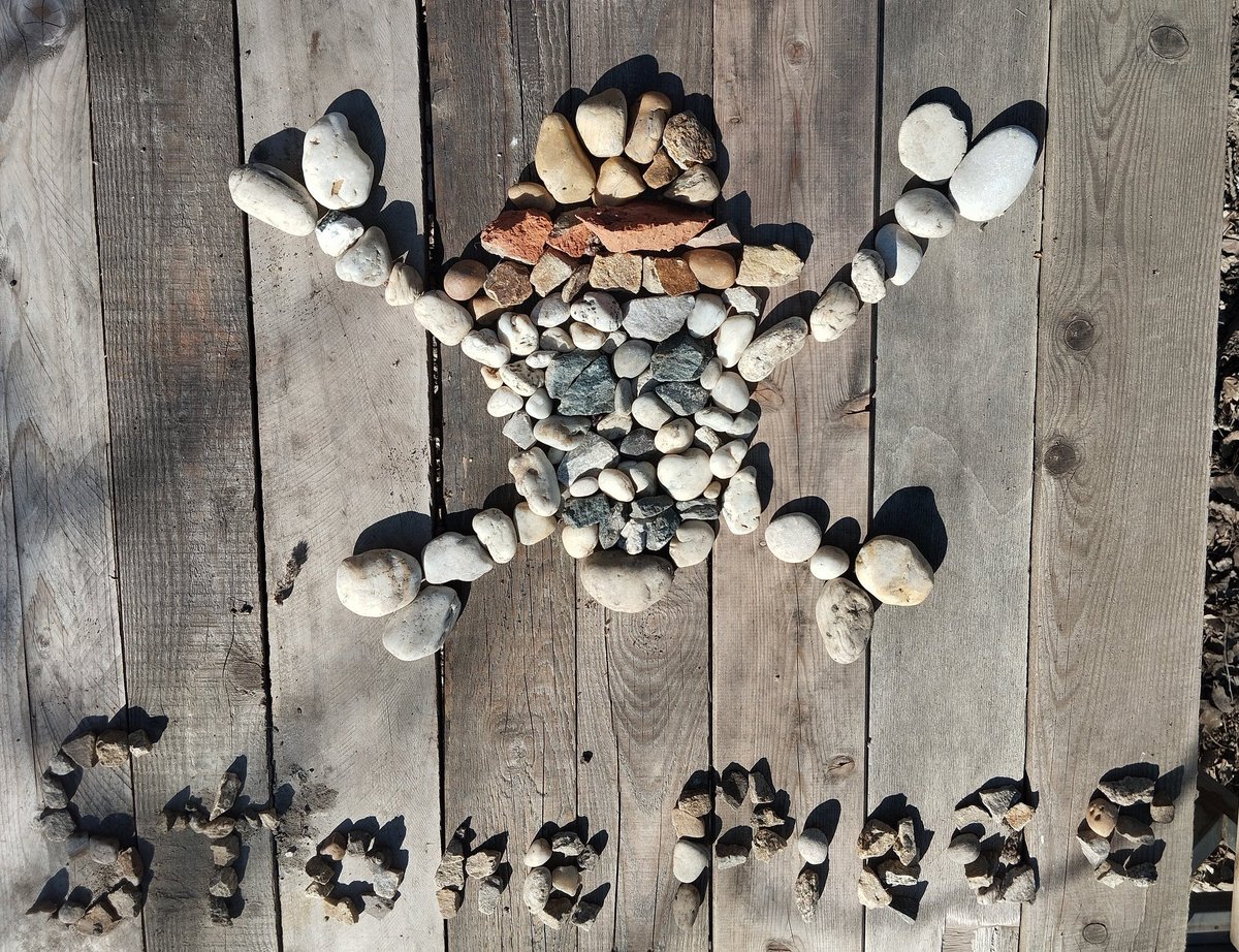 One Piece ist geil tweet media