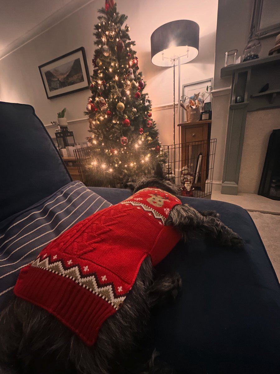 I’m sick again and Theo is already asleep- but happy new year bitches!! May it be filled with love and laughter xxx