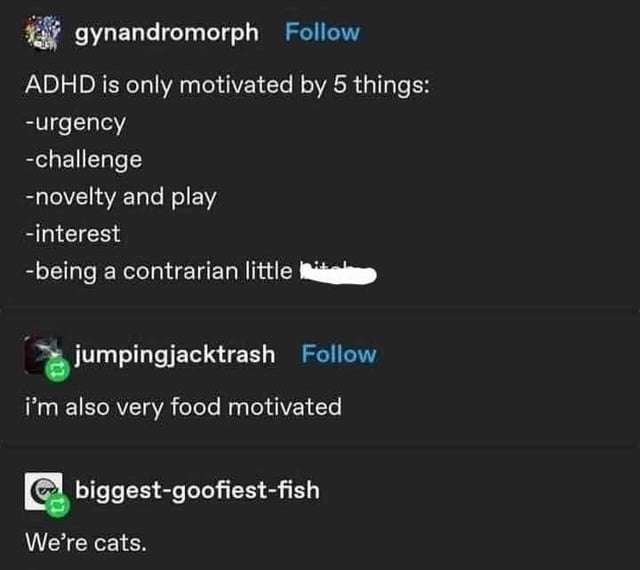 NoNonsenseND's tweet image. 