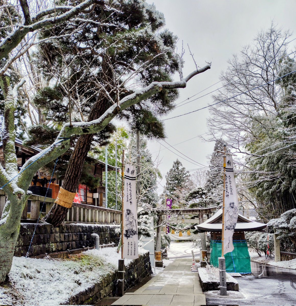 ワニ丸ワニ丸 tweet media