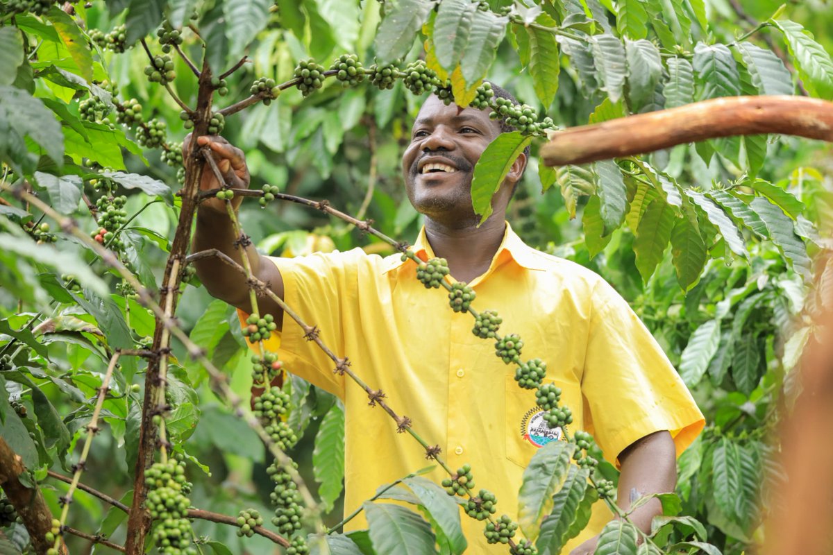 State House Uganda tweet media