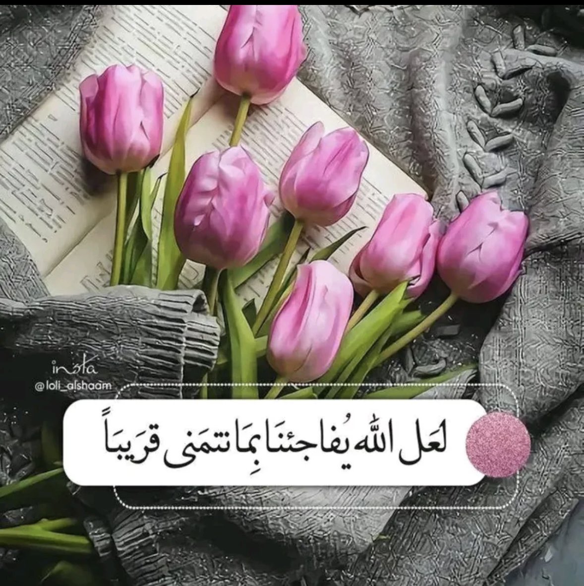 #عام_جديد_2026
#عام الأفراح يارب 🤲♥️🌧️